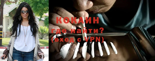 мдпв Верея
