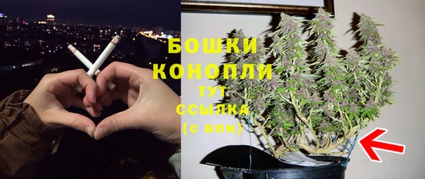мдпв Верея